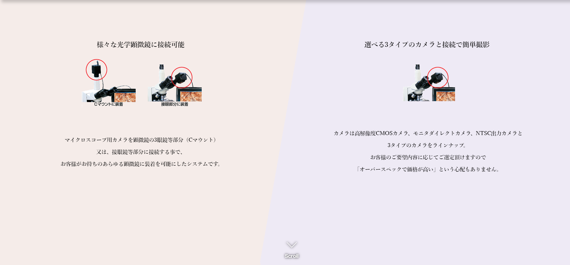 マイクロスコープの専門メーカー ｜ (株)マイクロアドバンス