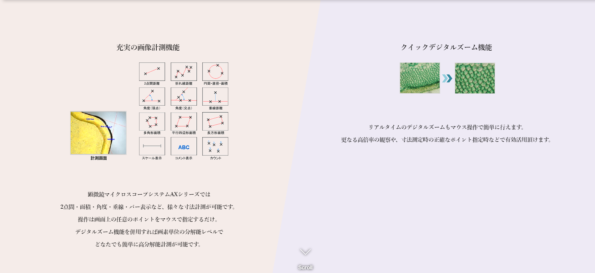 マイクロスコープの専門メーカー ｜ (株)マイクロアドバンス